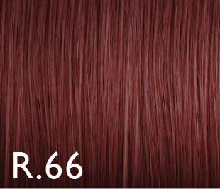 [GENUS070] Color Genus r.66 100ml