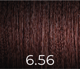 Ppd Free Color 6.56 100ml