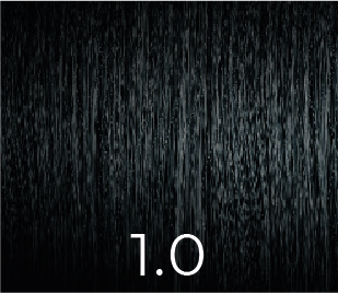 PPD & Ammonia Free Color 1.0  100ml