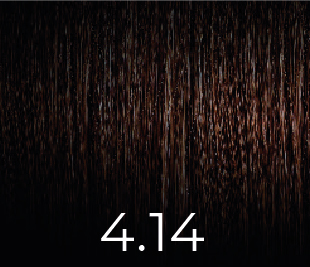 PPD & Ammonia Free Color 4.14 100ml
