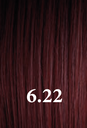 Color Maxy Look 6.22 100 ml.