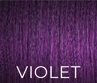 PPD & Ammonia Free Color Violet 100ml