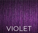 PPD & Ammonia Free Color Violet 100ml