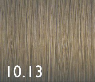 [GENUS095] Color Genus 10.13 100ml