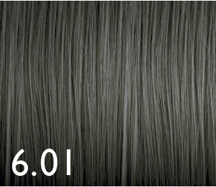 [GENUS017] Color Genus 6.01 100ml