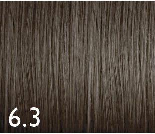 [GENUS040] Color Genus 6.3 100ml