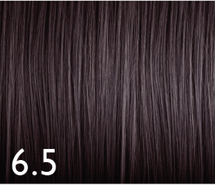 [GENUS062] Color Genus 6.5 100ml