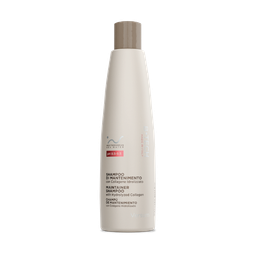 [40054] B-Tech Maintainer Shampoo 300ml